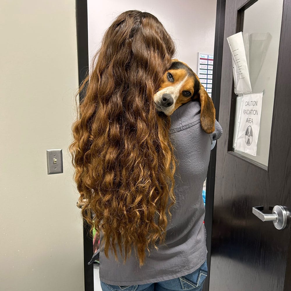 A person with long, wavy brown hair, likely a veterinarian, is holding a beagle who rests its head on the person's shoulder. They are standing in a room with a sign on the door marked "Caution Radiation Area.