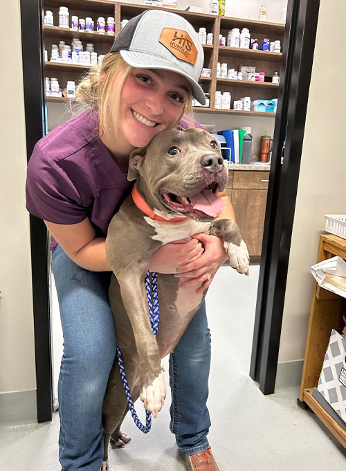 A smiling person wearing a baseball cap and purple scrubs hugs a happy gray and white dog with an orange collar and blue leash. They are in a room with shelves filled with bottles in the background, clearly revealing the loving touch of a dedicated vet.