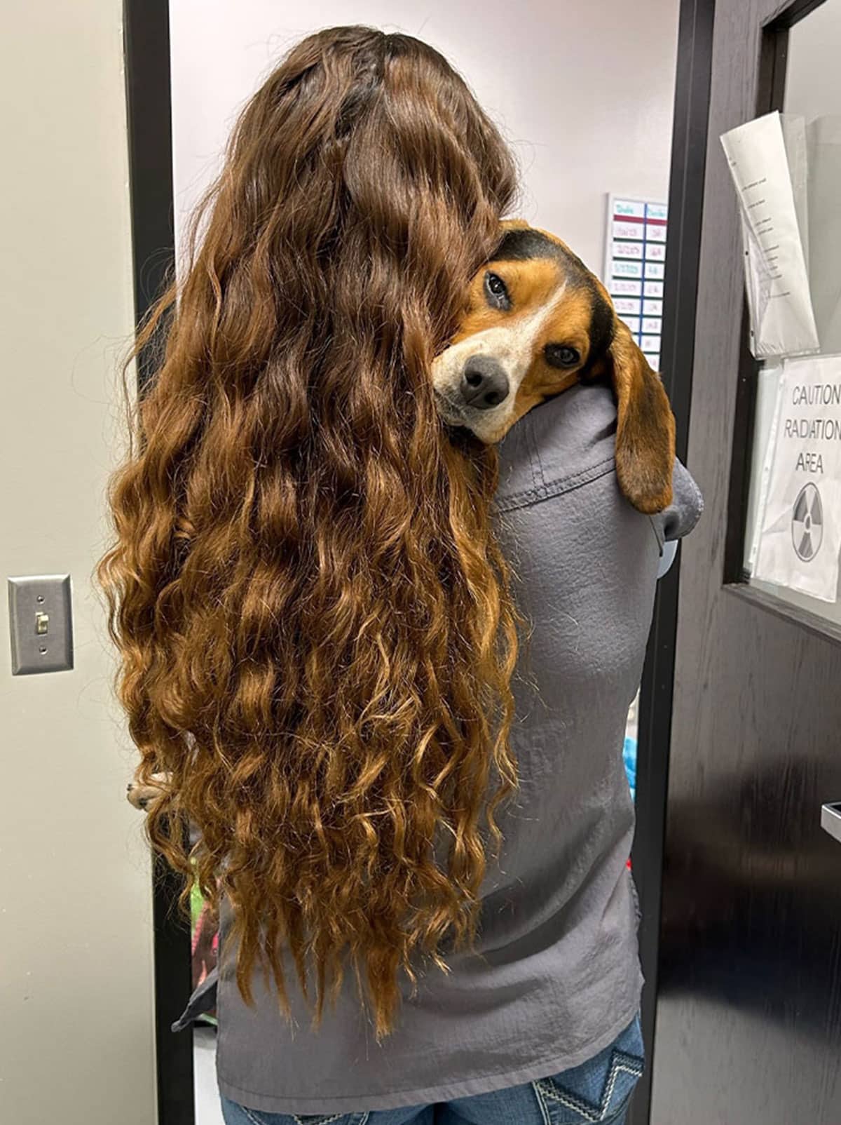 A veterinarian with long, wavy hair and wearing a gray shirt stands facing a door while holding a beagle dog over their shoulder. The dog rests its head comfortably, appearing relaxed, as they stand in front of a door with a "Caution Radiation Area" sign.